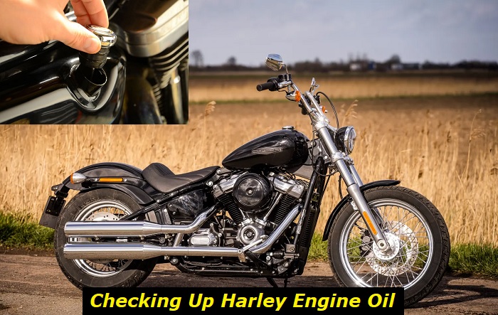 chevk harley engine oil on kickstand